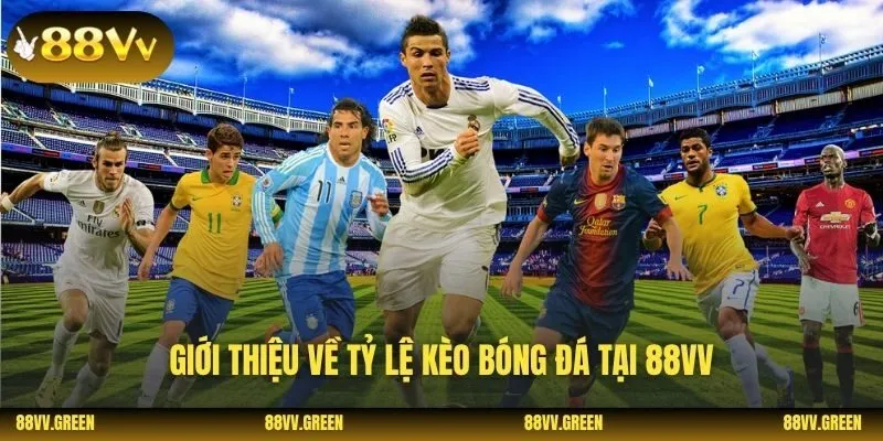 Giới thiệu về tỷ lệ kèo bóng đá tại 88VV
