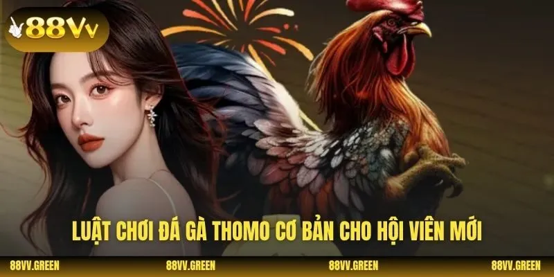 Luật chơi đá gà thomo cơ bản cho hội viên mới